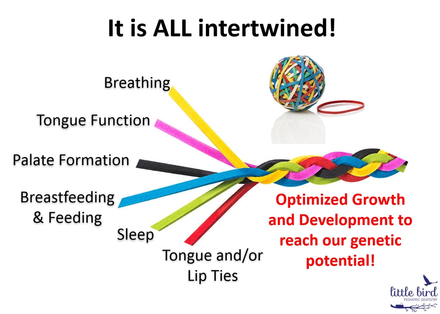 Interconnected factors of growth and development